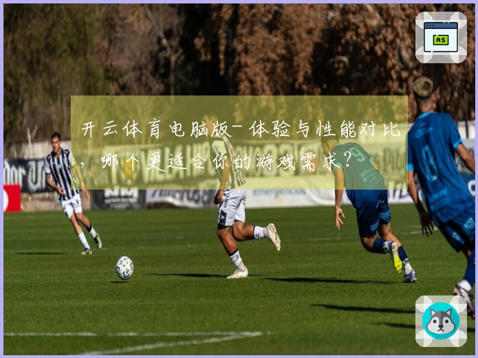 开云体育电脑版- 体验与性能对比，哪个更适合你的游戏需求？