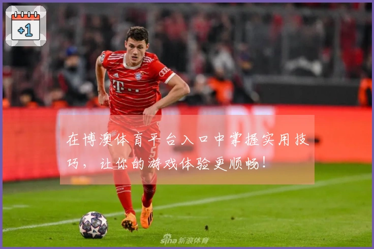 在博澳体育平台入口中掌握实用技巧，让你的游戏体验更顺畅！