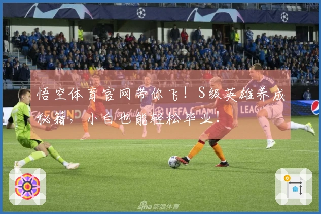 悟空体育官网带你飞！S级英雄养成秘籍，小白也能轻松毕业！